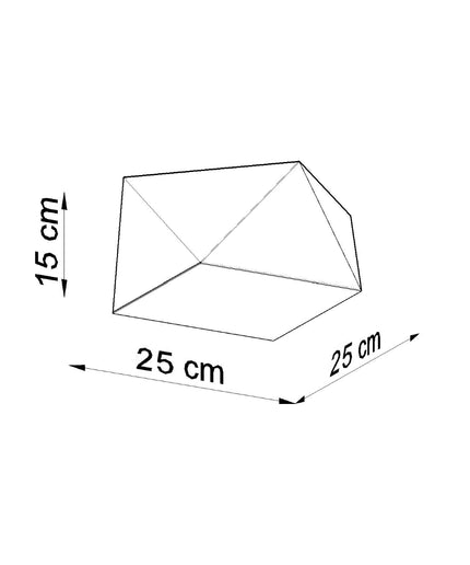 Lubinis šviestuvas HEXA 25 sidabrinis