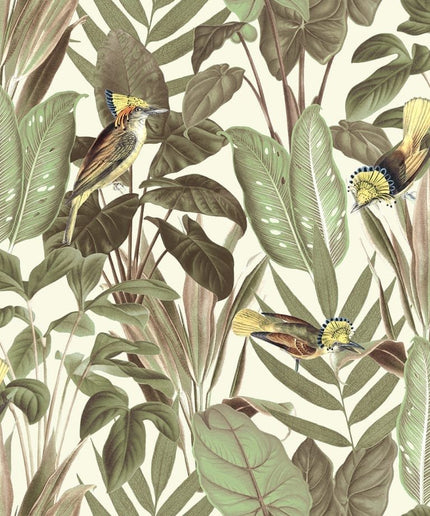 Flizelininiai tapetai, Birds of Paradise, Bright Dawn - R18563
