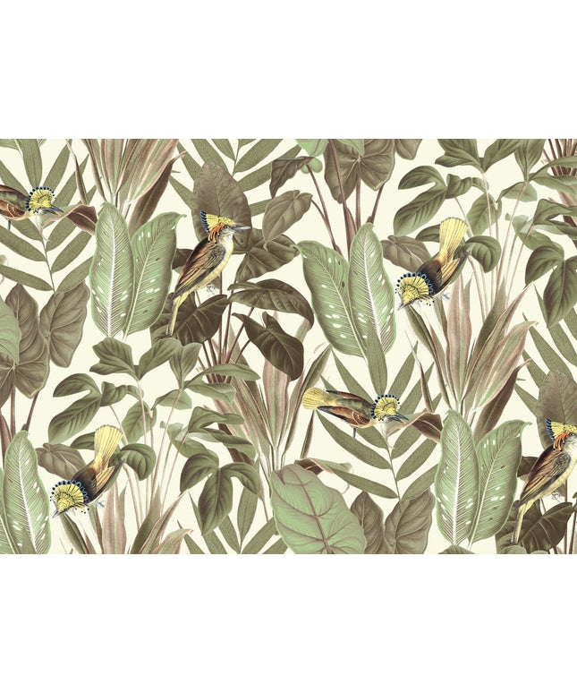 Flizelininiai tapetai, Birds of Paradise, Bright Dawn - R18563