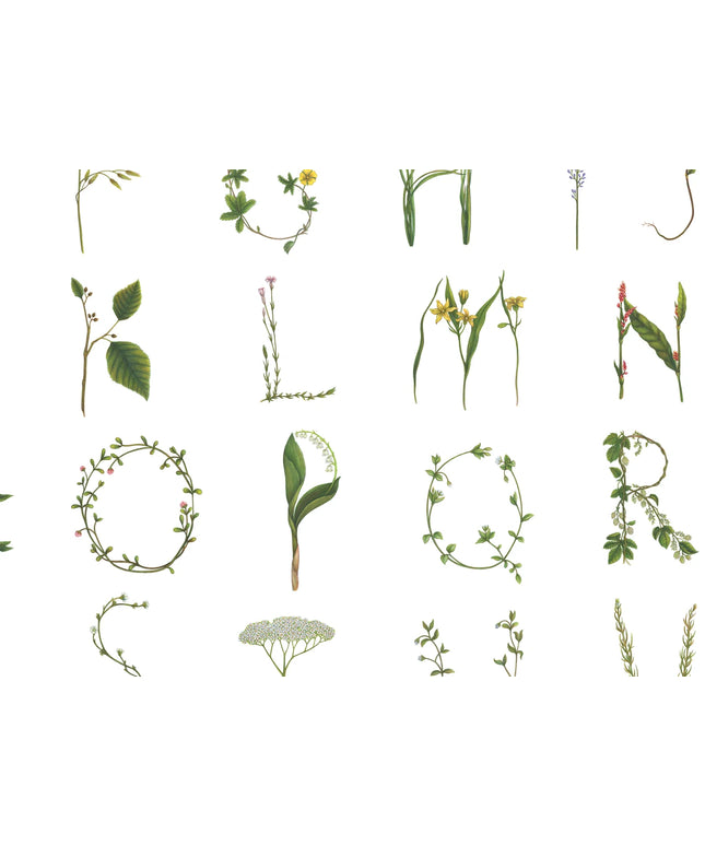 Flizelininiai tapetai, Floral Alphabet Mini English - R18532