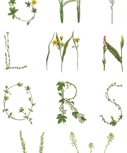 Flizelininiai tapetai, Floral Alphabet Mini Swedish - R18532