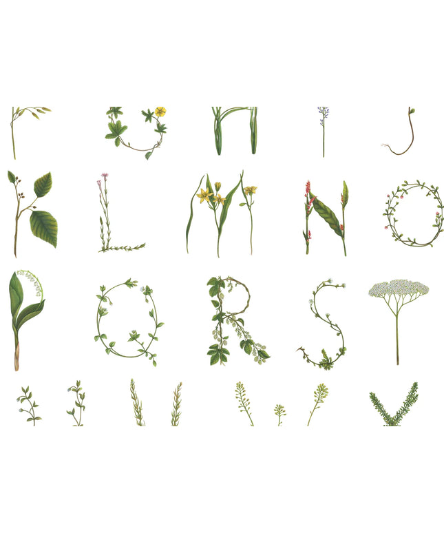 Flizelininiai tapetai, Floral Alphabet Mini Swedish - R18532