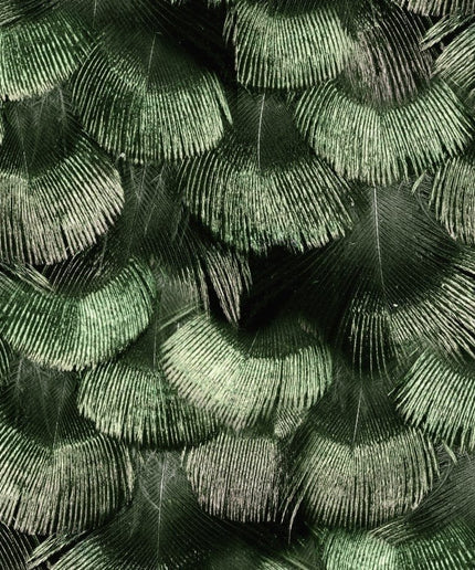 Flizelininiai tapetai, Petite Peackock Plumage, Jade - R18553