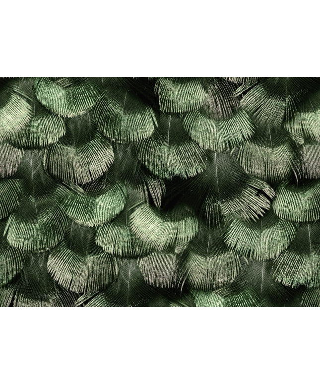 Flizelininiai tapetai, Petite Peackock Plumage, Jade - R18553