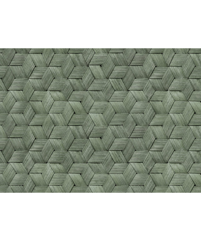 Flizelininiai tapetai, Small Birch Bark Braids, Forest Green - R18537