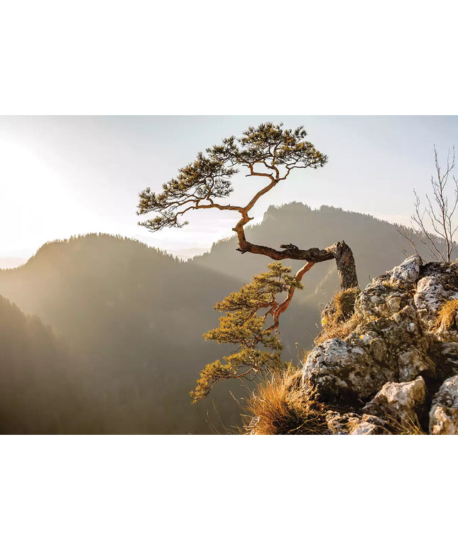 Foto tapetai - 10511VEKW