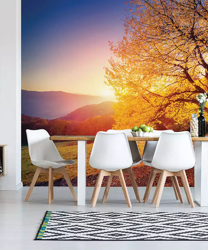Foto tapetai - 12640VEKW