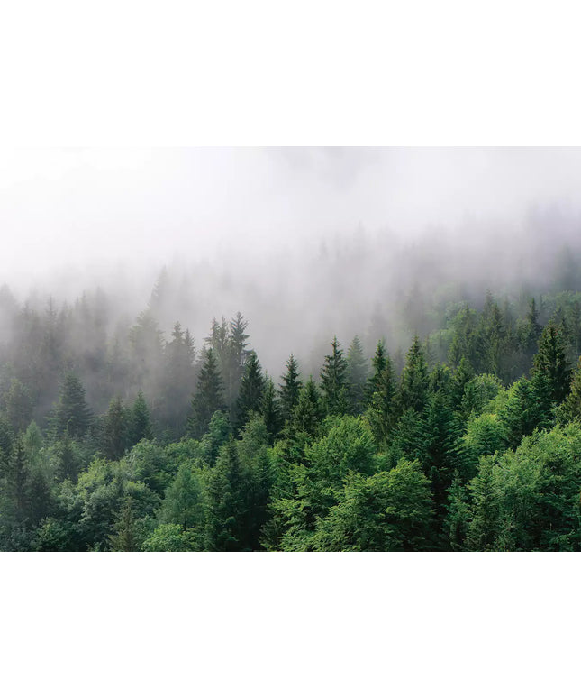 Foto tapetai - 13907VEKW
