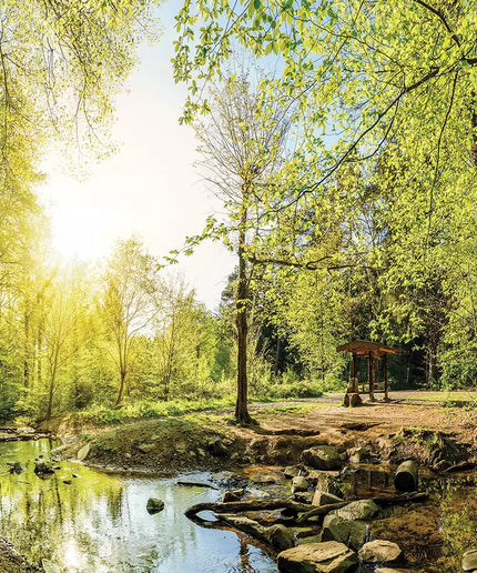 Fototapetai - 10508VEKW