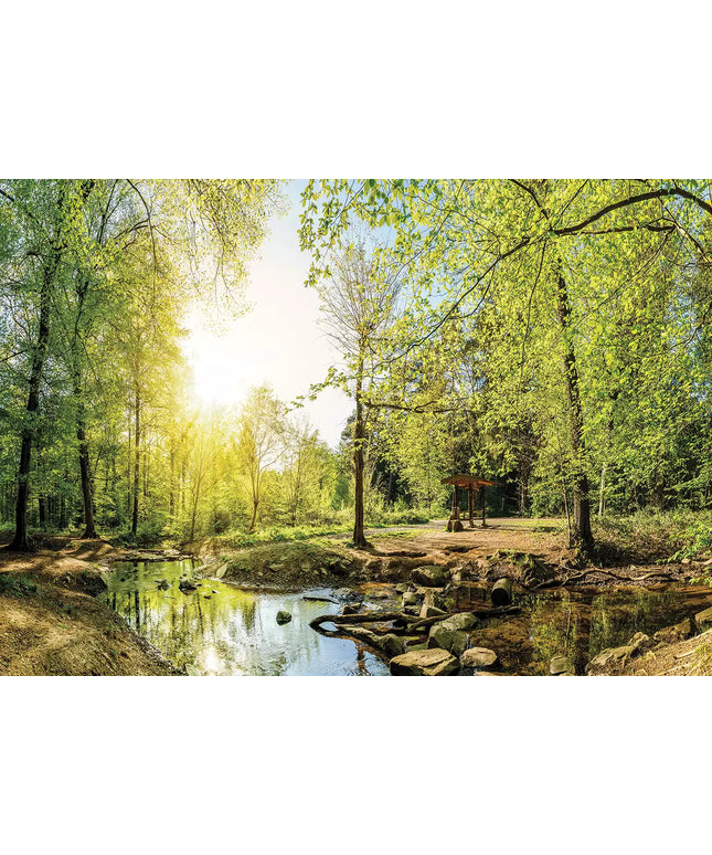 Fototapetai - 10508VEKW