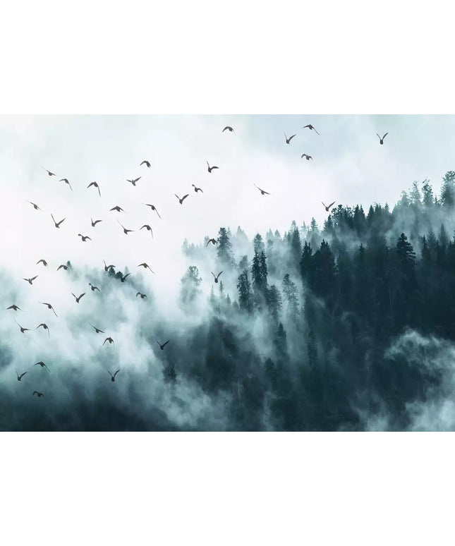 Fototapetai - 12394VEKW