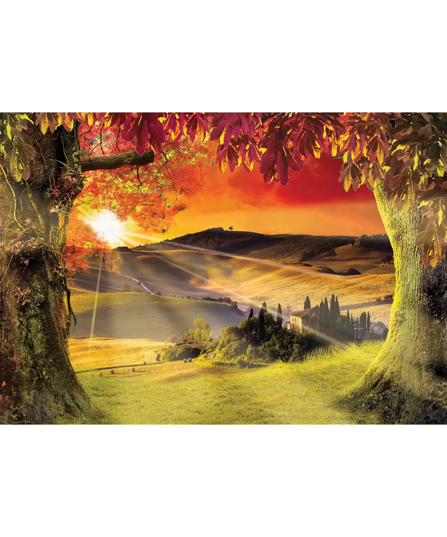 Fototapetai - 2599VEKW