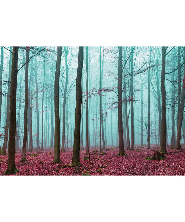 Fototapetai - 2657VEKW