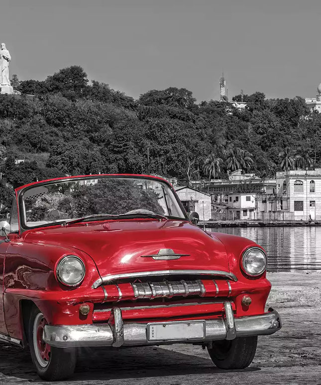Fototapetai automobiliai - 11859VEKW