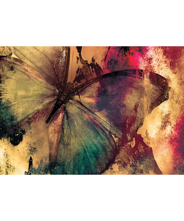 Fototapetai drugeliai ir lomžirgiai - 12586VEKW