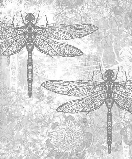 Fototapetai drugeliai ir lomžirgiai - 13959VEKW