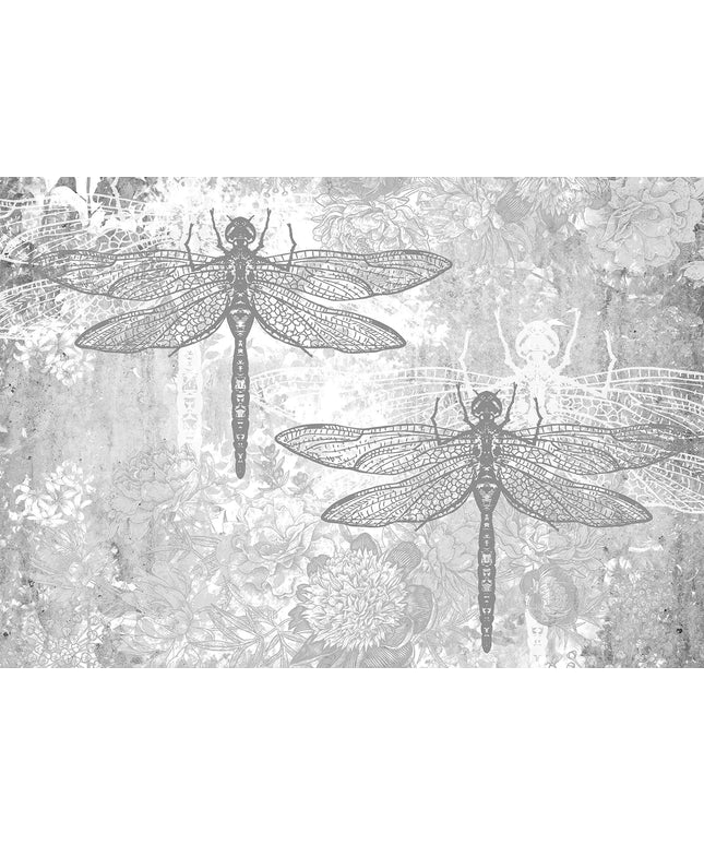 Fototapetai drugeliai ir lomžirgiai - 13959VEKW