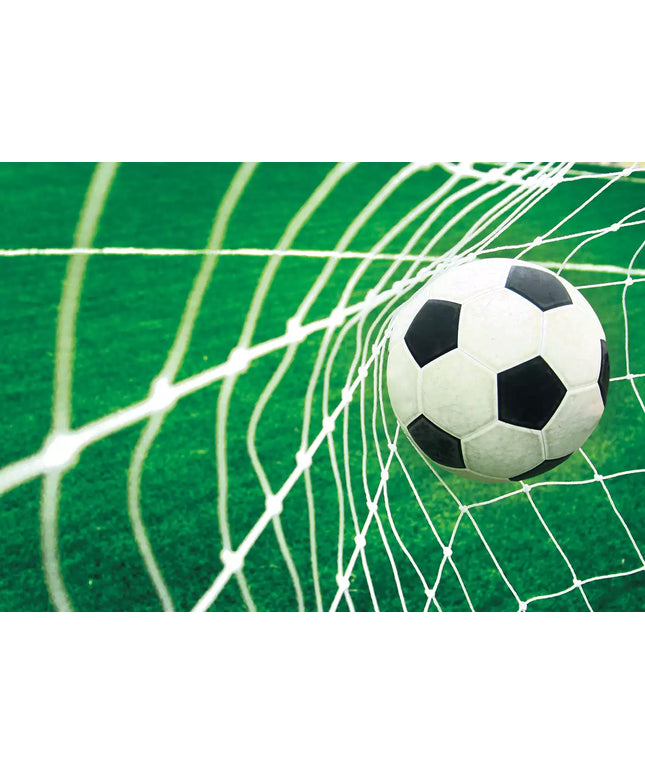 Fototapetai futbolas - 015VEKW