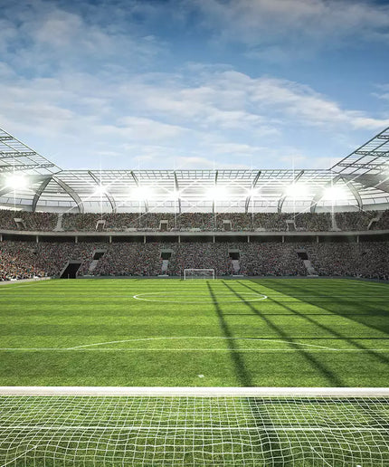 Fototapetai futbolas - 11798VEKW
