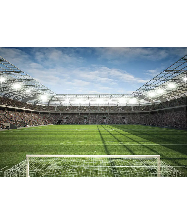 Fototapetai futbolas - 11798VEKW