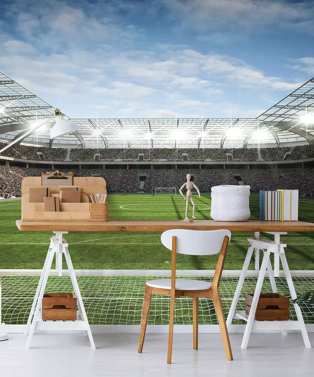 Fototapetai futbolas - 11798VEKW
