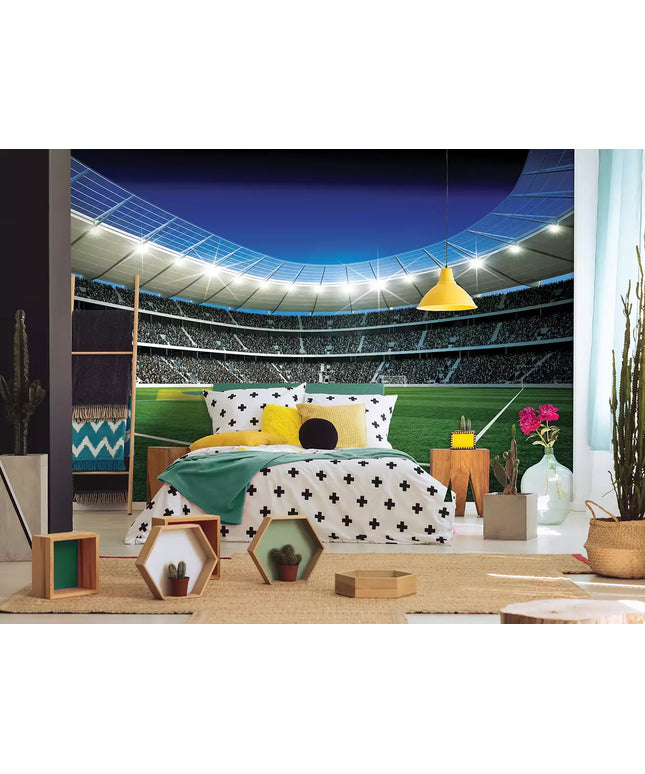 Fototapetai futbolas - 1213VEKW