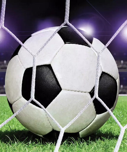 Fototapetai futbolas - 155VEKW