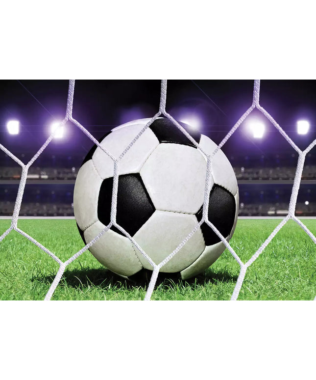 Fototapetai futbolas - 155VEKW