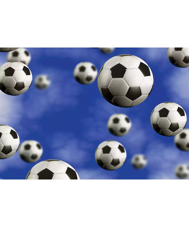 Fototapetai futbolas - 187VEKW