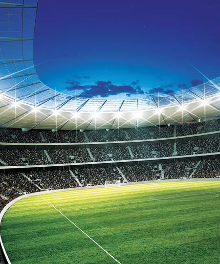 Fototapetai futbolas - 323VEKW