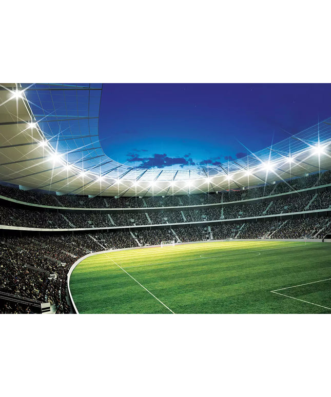 Fototapetai futbolas - 323VEKW