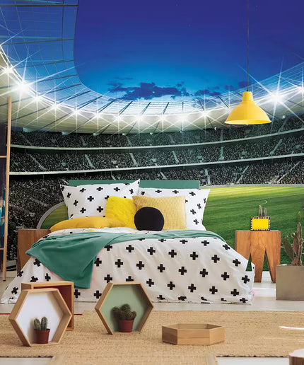 Fototapetai futbolas - 323VEKW