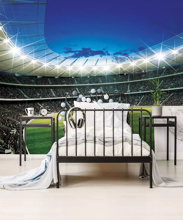 Fototapetai futbolas - 323VEKW