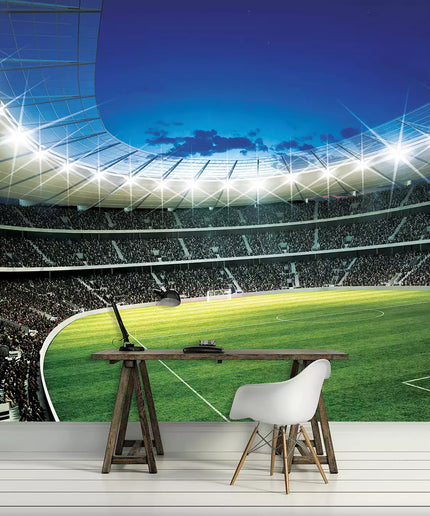 Fototapetai futbolas - 323VEKW