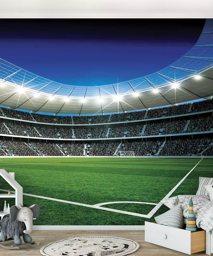 Fototapetai futbolas - 324VEKW