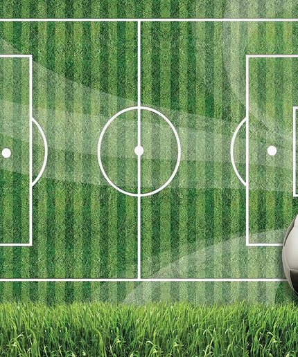 Fototapetai futbolas - 3387VEKW