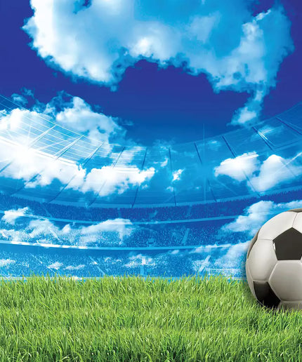 Fototapetai futbolas - 3388VEKW