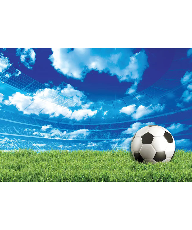 Fototapetai futbolas - 3388VEKW