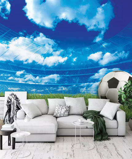 Fototapetai futbolas - 3388VEKW