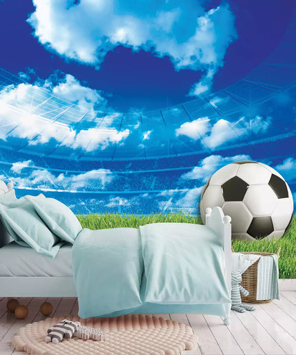 Fototapetai futbolas - 3388VEKW