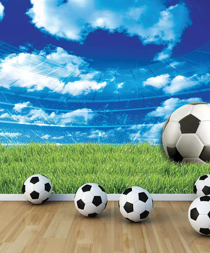 Fototapetai futbolas - 3388VEKW