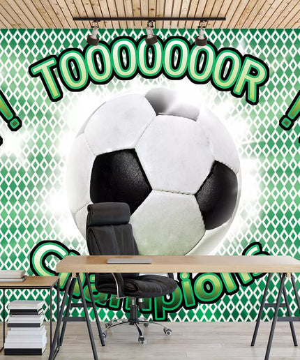 Fototapetai futbolas - 435VE