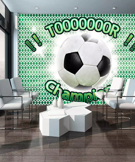 Fototapetai futbolas - 435VE