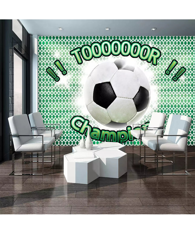 Fototapetai futbolas - 435VE