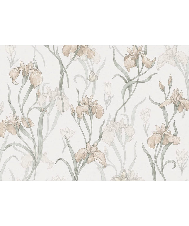 Modernūs tapetai, Iris powder pink - S10134