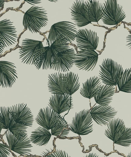 Tapetai internetu, Pine, Green - 804