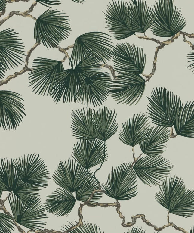 Tapetai internetu, Pine, Green - 804