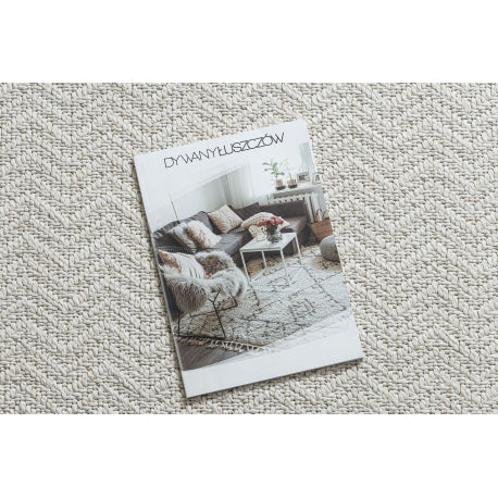 Kilimas ORIGI 3739 kremastaas - Rėmas, chevron plokščia austa SISAL virvelė