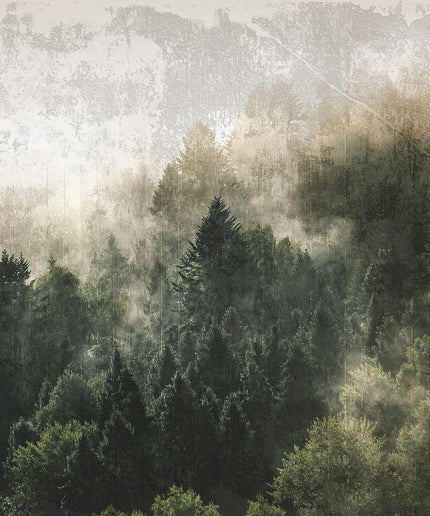 Prabangūs foto tapetai, Premium klasės, freskos iš "Lorenso" - dizainas MISTWOOD. TPL-1123-0019-00