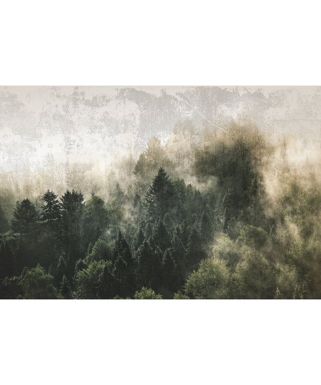 Prabangūs foto tapetai, Premium klasės, freskos iš "Lorenso" - dizainas MISTWOOD. TPL-1123-0019-00